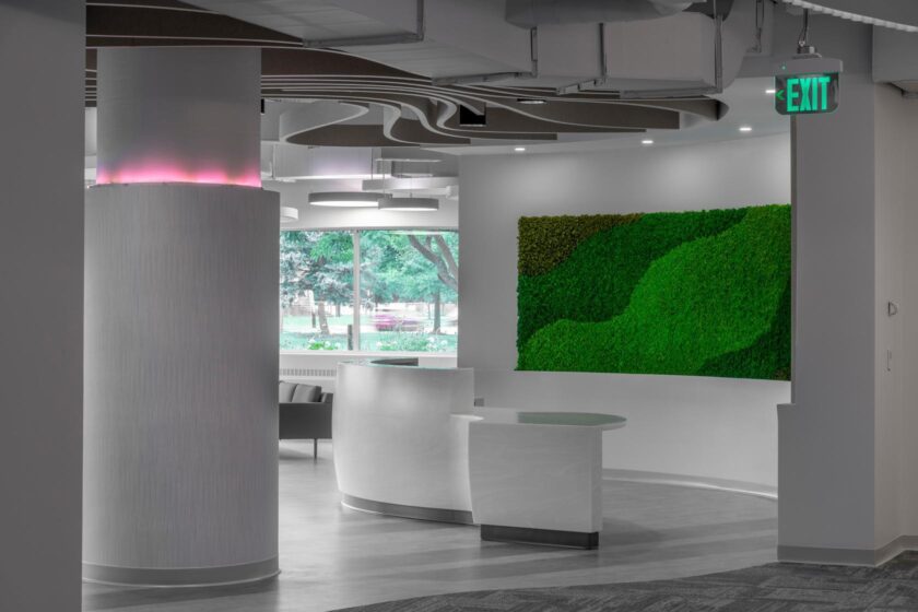 Stark Tech Offices for Javen Construction